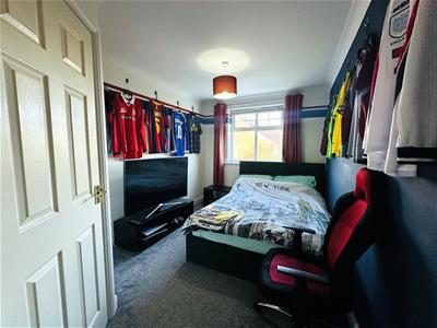 Picture 13